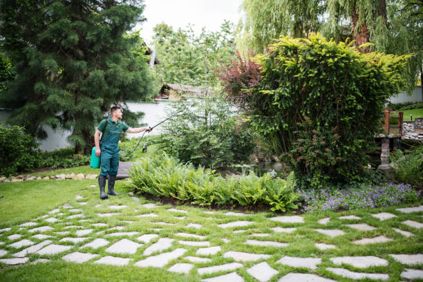 Best Wasp Removal Services  in Clifton Knolls Mill Creek, NY